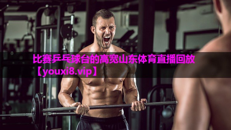 比赛乒乓球台的高宽山东体育直播回放