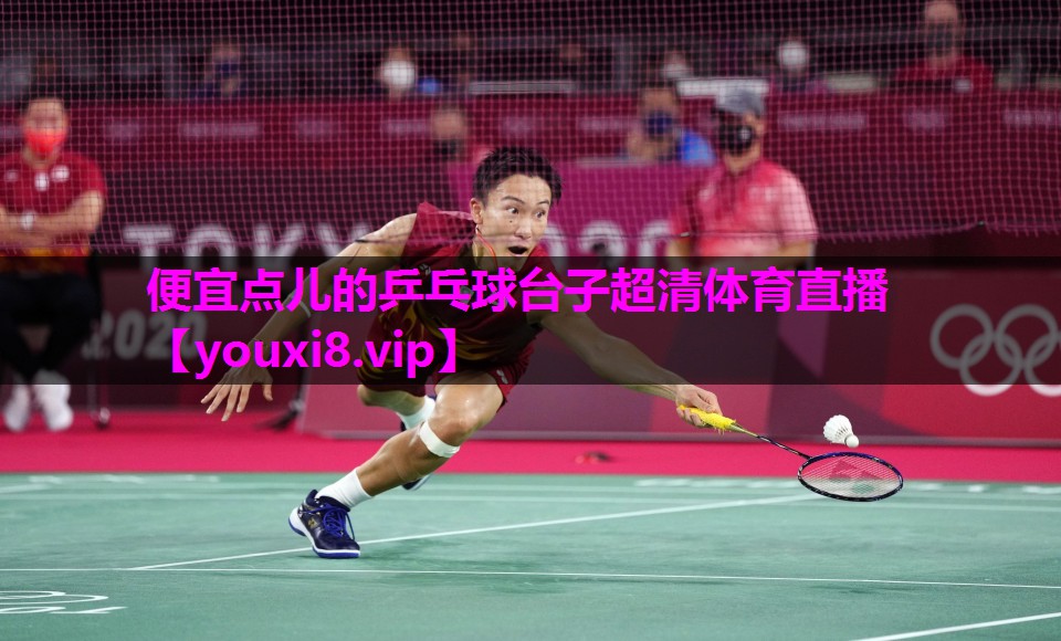 便宜点儿的乒乓球台子超清体育直播