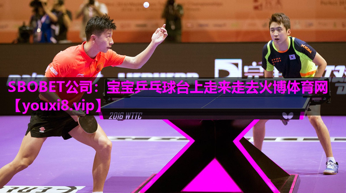 SBOBET公司：宝宝乒乓球台上走来走去火博体育网