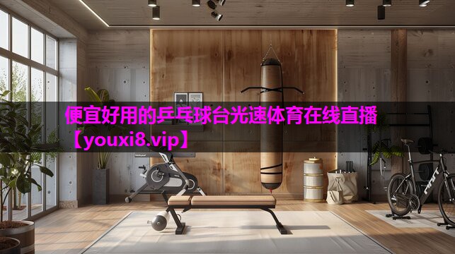 便宜好用的乒乓球台光速体育在线直播