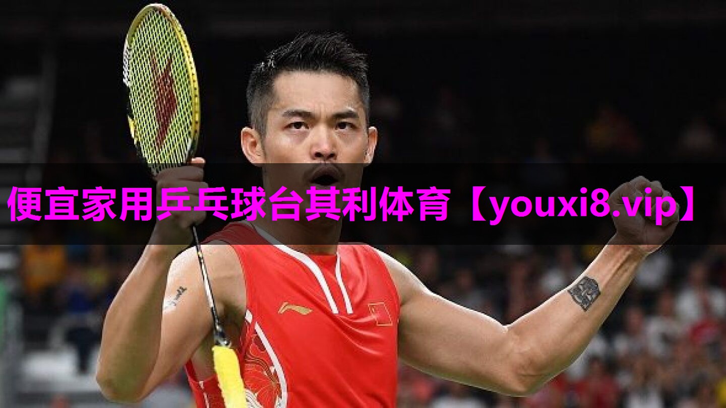 便宜家用乒乓球台其利体育