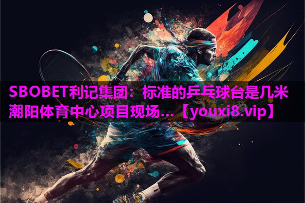SBOBET利记集团：标准的乒乓球台是几米潮阳体育中心项目现场…