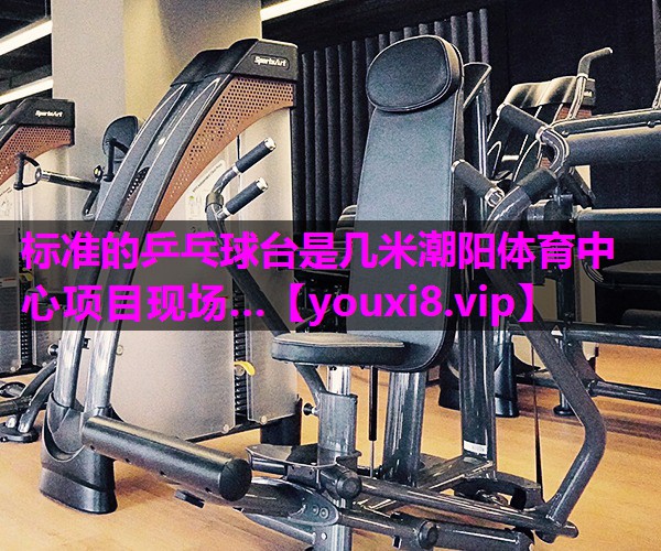 标准的乒乓球台是几米潮阳体育中心项目现场…